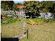 Riverview QLD 4303