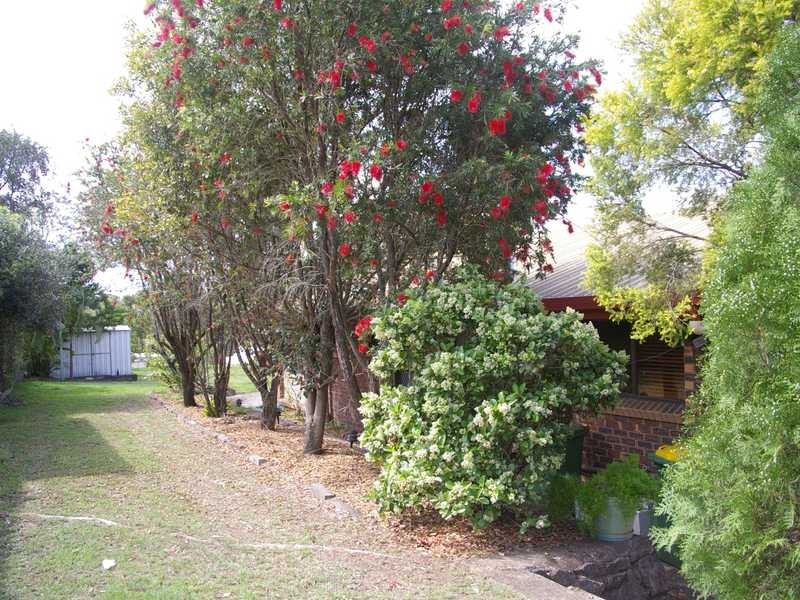 North Ipswich QLD 4305