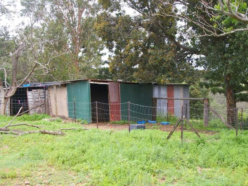 Pine Mountain QLD 4306