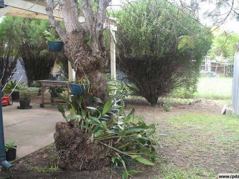 Silkstone QLD 4304