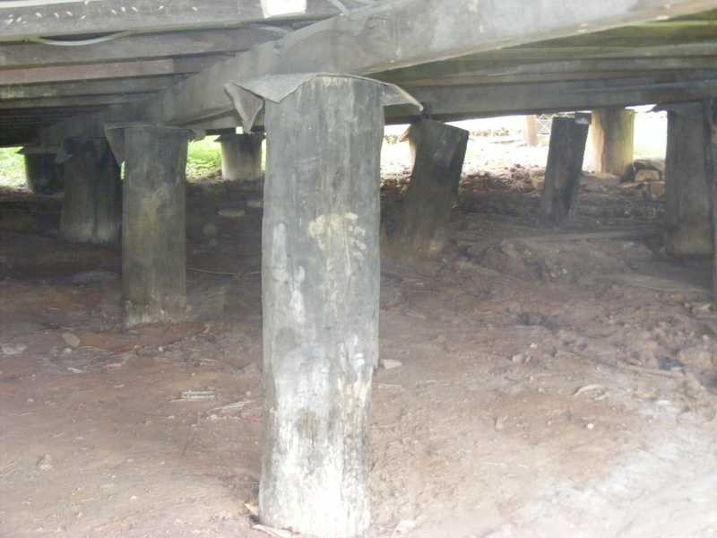 Blackstone QLD 4304