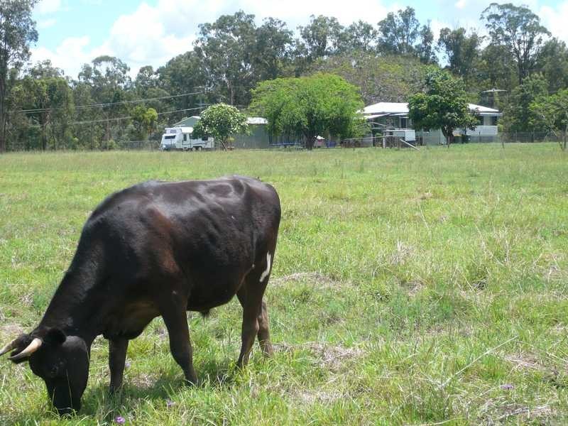 Kholo QLD 4306
