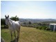 198 Tallegalla Two Tree Hill Road, Tallegalla QLD 4340