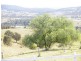 198 Tallegalla Two Tree Hill Road, Tallegalla QLD 4340
