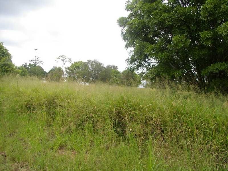 Kalbar QLD 4309