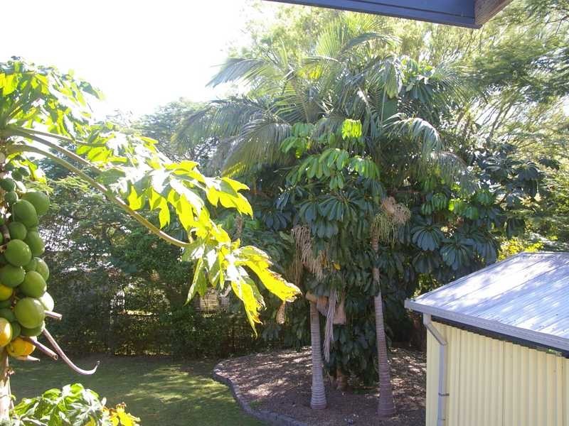 East Ipswich QLD 4305