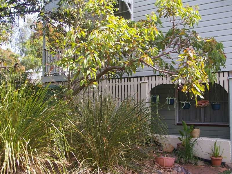 North Ipswich QLD 4305