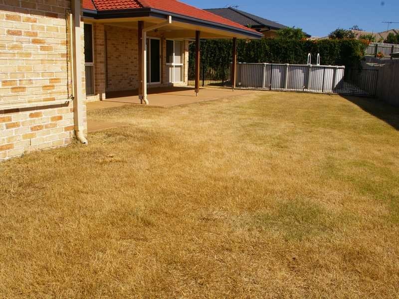 Brassall QLD 4305