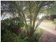 Booval QLD 4304