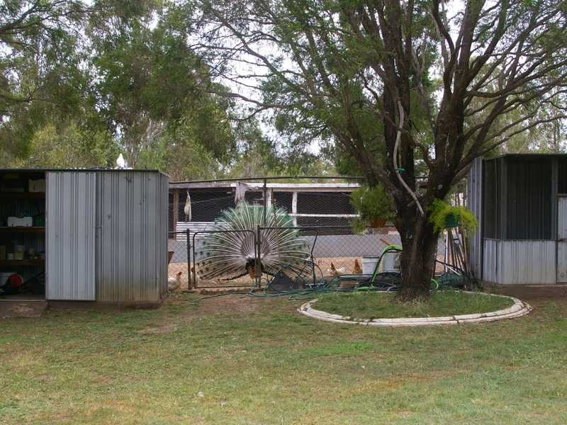 Walloon QLD 4306