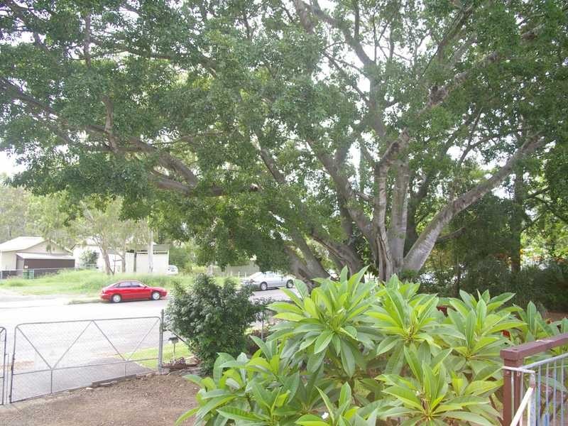 16 Station Road, Riverview QLD 4303