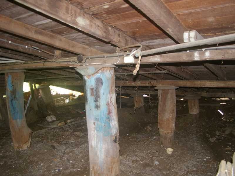 34 Bergin Street, Booval QLD 4304