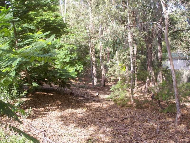 North Ipswich QLD 4305