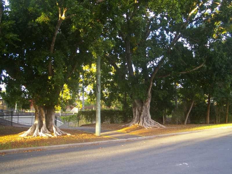 12 Thomas Street, Sadliers Crossing QLD 4305