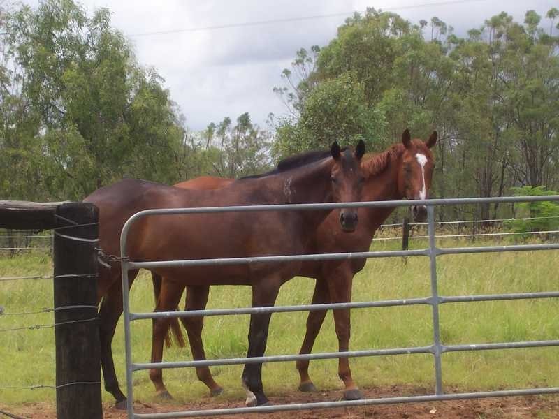 398 Kuss Road, Rosewood QLD 4340