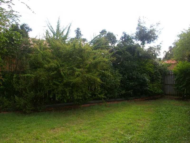 Goodna QLD 4300