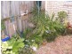 Bundamba QLD 4304