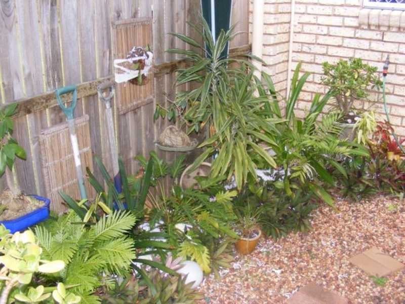 Bundamba QLD 4304