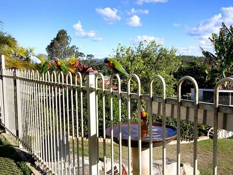 Springfield QLD 4300