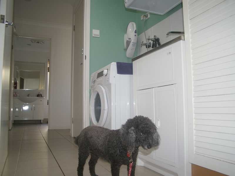 Villa 17/45 Sealy Street, Silkstone QLD 4304