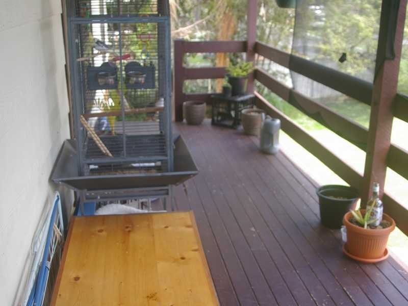 25 Boundary Street, Moores Pocket QLD 4305