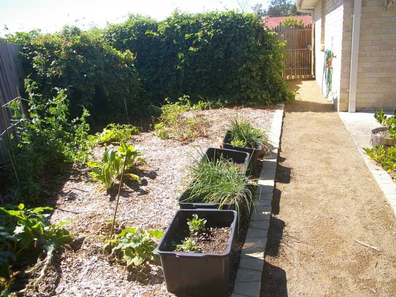 Collingwood Park QLD 4301