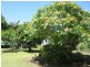 19 Bird Street, Bundamba QLD 4304