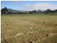 Minden QLD 4311