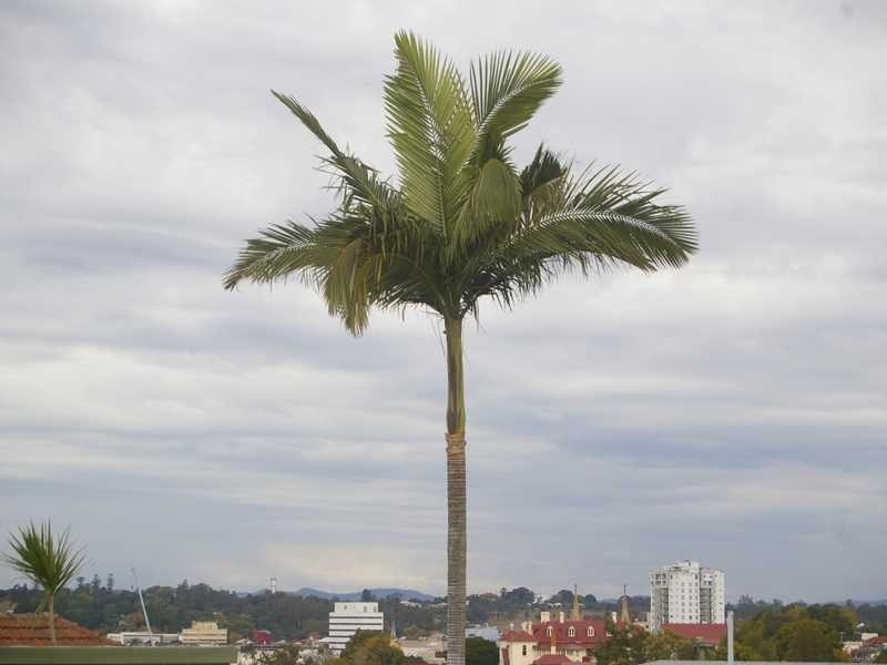 Woodend QLD 4305