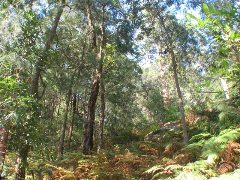 104 The Broadwaters (Tascott), Hornsby NSW 2077