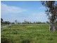 345 Nicholson’S Lagoon Rd, Quirindi NSW 2343