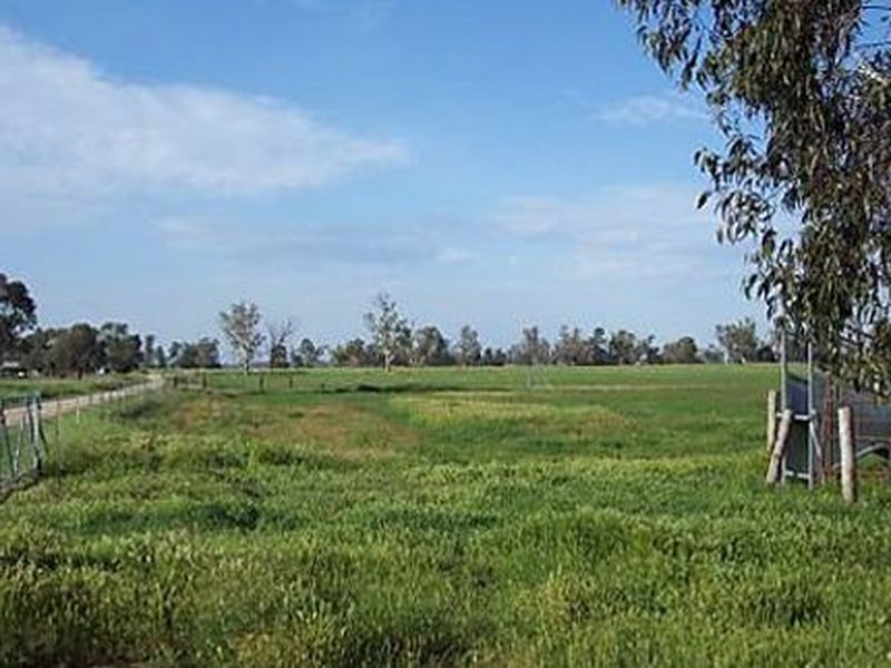 345 Nicholson’S Lagoon Rd, Quirindi NSW 2343