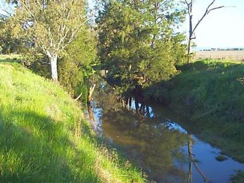 345 Nicholson’S Lagoon Rd, Quirindi NSW 2343