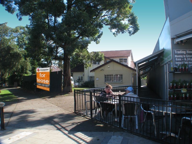 3 Fig Tree Street, Lane Cove NSW 2066