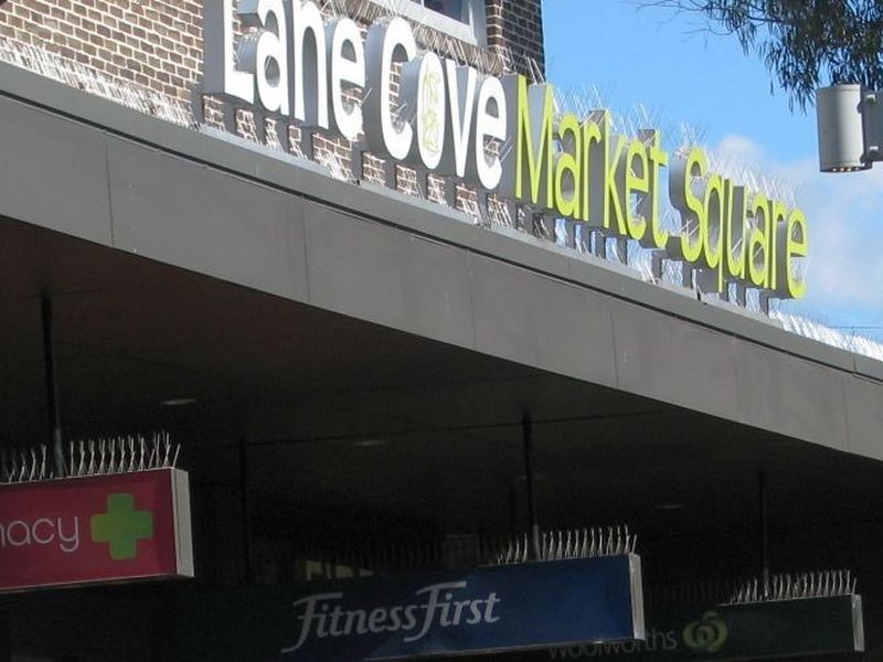 44 Burns Bay Road, Lane Cove NSW 2066