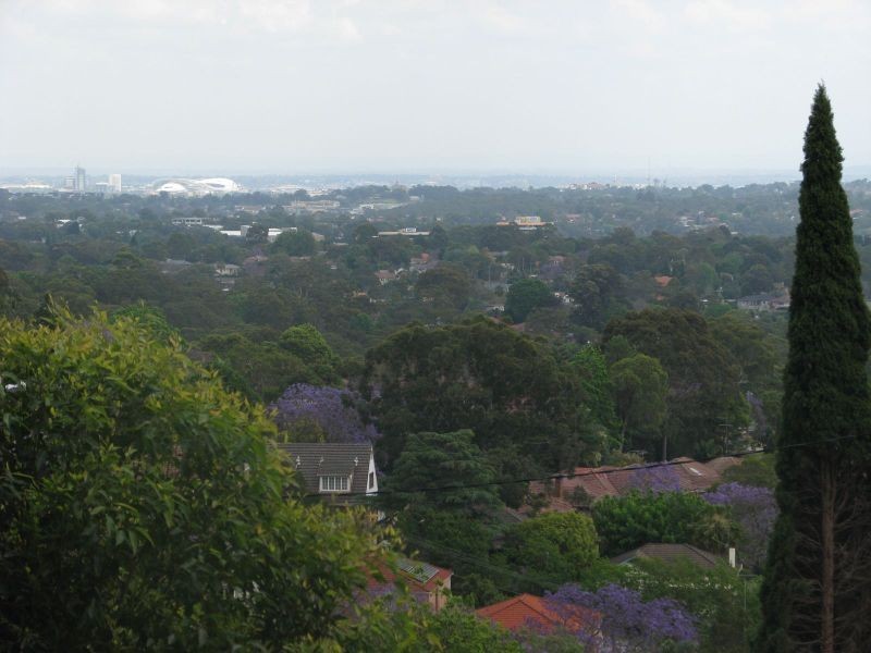 Suite 242/14 Brown Street, Chatswood NSW 2067