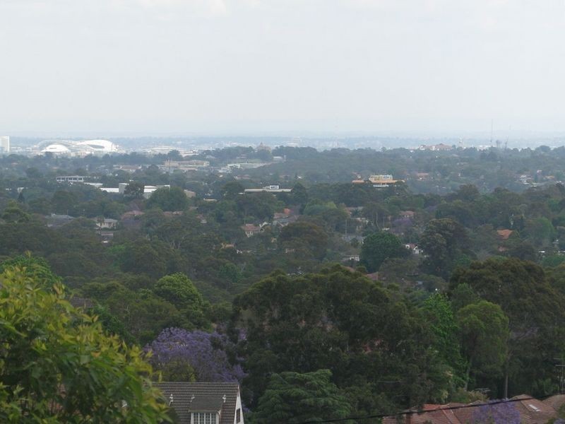 Suite 242/14 Brown Street, Chatswood NSW 2067