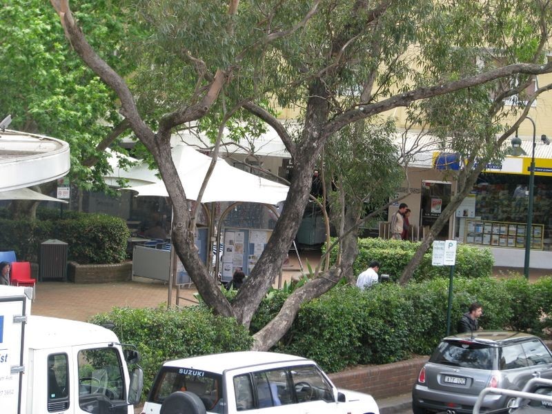 Apartment One/156 Longueville Road, Lane Cove NSW 2066