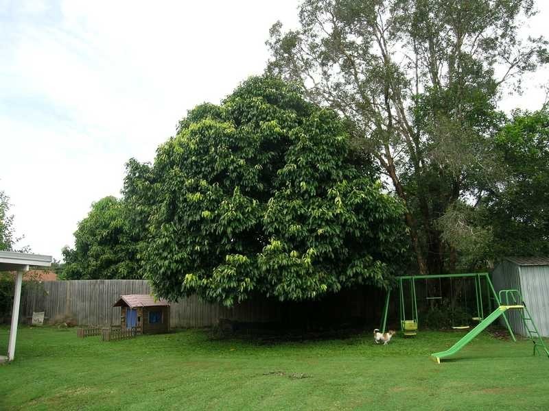 8 Ferny Street, Marsden QLD 4132