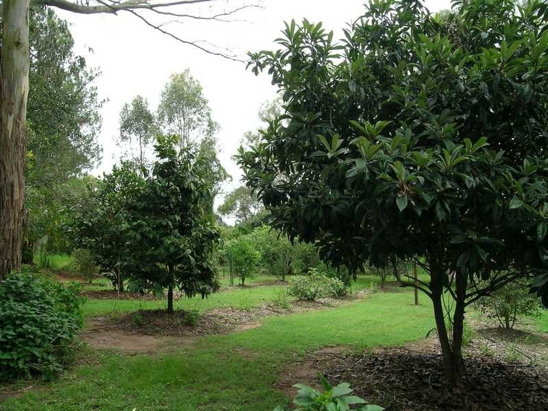 5 Logan Parade, Logan Reserve QLD 4133