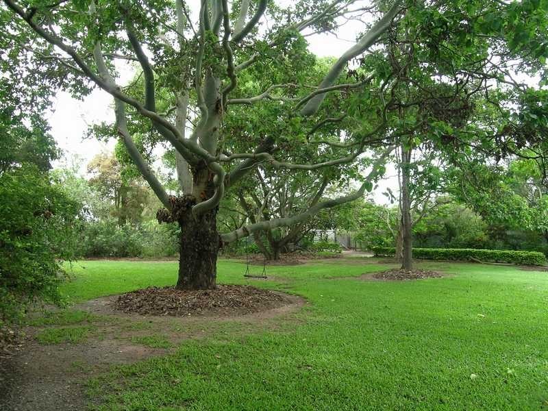 5 Logan Parade, Logan Reserve QLD 4133