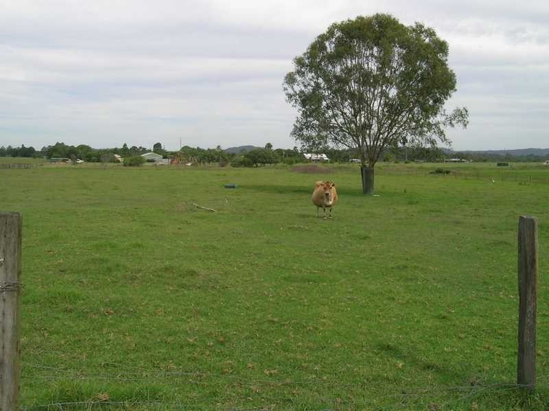 492 Logan Reserve Road, Logan Reserve QLD 4133