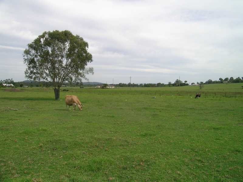 492 Logan Reserve Road, Logan Reserve QLD 4133