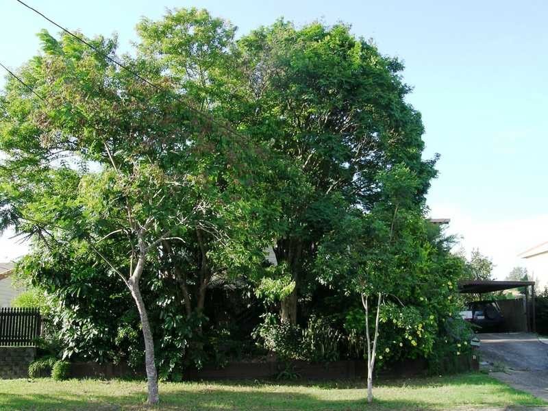 11 Waters Street, Waterford West QLD 4133