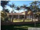 28 Evergreen Avenue, Loganlea QLD 4131