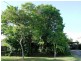 11 Waters Street, Waterford West QLD 4133
