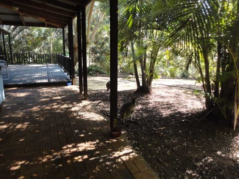 Buccan QLD 4207