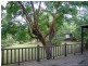 Buccan QLD 4207