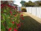 Yamba NSW 2464
