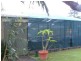 Woombah NSW 2469